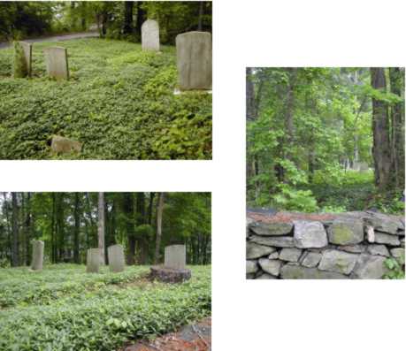 Views of Turn-of-River Cemetery