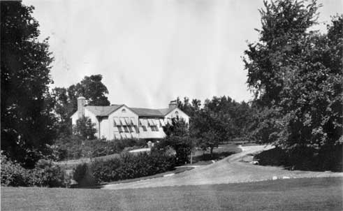 The Forest Building