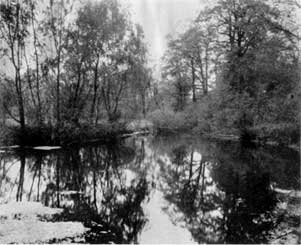 The Brook at Blythewood